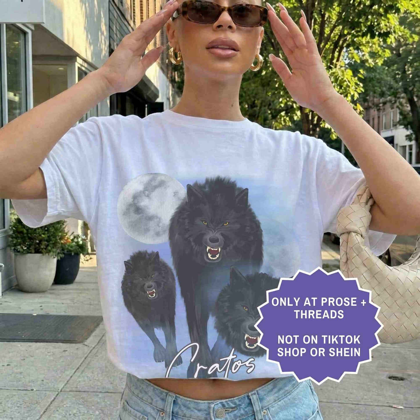 Shop Dire Bound inspired merch with romantasy designs, dire wolves, and quote tees. Aesthetic clothing for book lovers and fantasy readers.